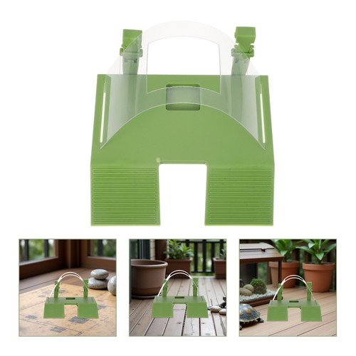 Piattaforma basking lucertola - ,