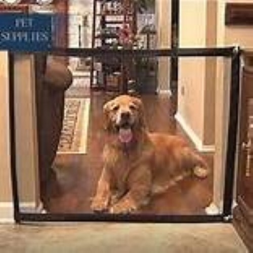 Cancelletto per cane recinto - cancelletto,