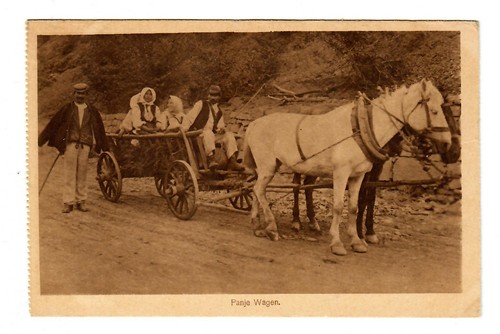 Cartolina panje carro - gg:,