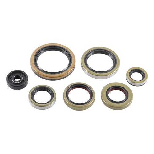 Vertex 860vg822976 kit paraoli - 860vg822976,