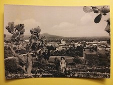 Sparanise (Caserta). Veduta