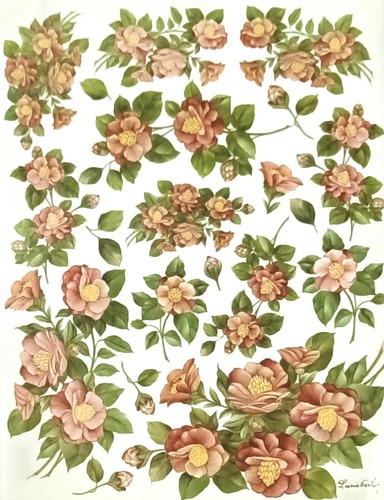 Carta decoupage formato - ,