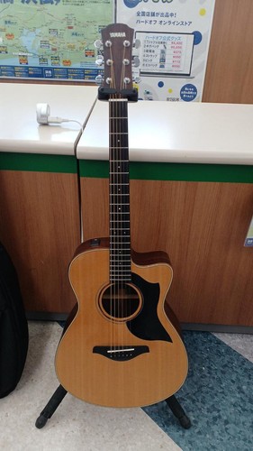 Chitarra acustica elettrica