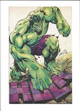 Hulk # 7 J Scott Campbell