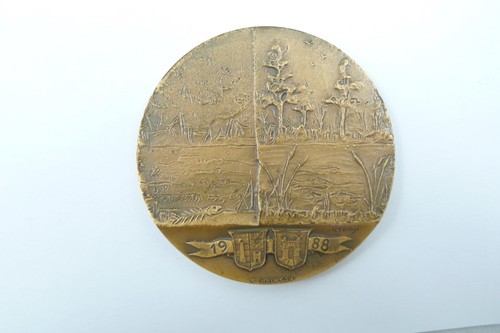 Medaglia provincia cremona - medaglia,