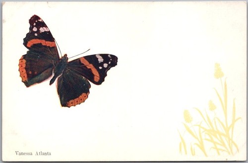 Cartolina epoca 900 - d'epoca, '900
