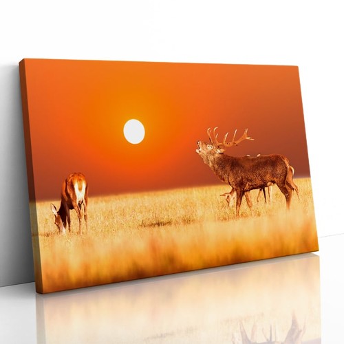 Quadro stampa tela con - stampa,