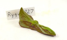 MOTU, testa turbodattilo