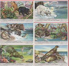 FIGURINE LIEBIG SERIE COMPLETA