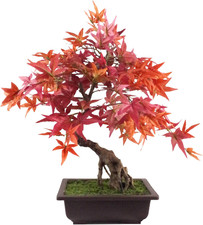 Albero Artificiale, Bonsai Di