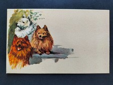 Cartolina cani anni 60 - cani,