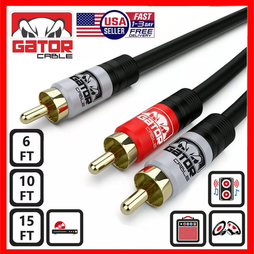 Rca maschio - a,