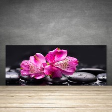 125x50 Paraschizzi in Vetro