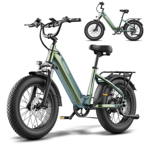Bicicletta elettrica fafrees - elettrica,