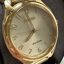 Orologio Citizen Weekender