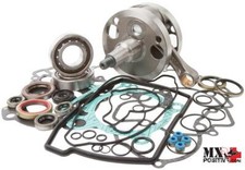 KIT REVISIONE MOTORE KTM 250