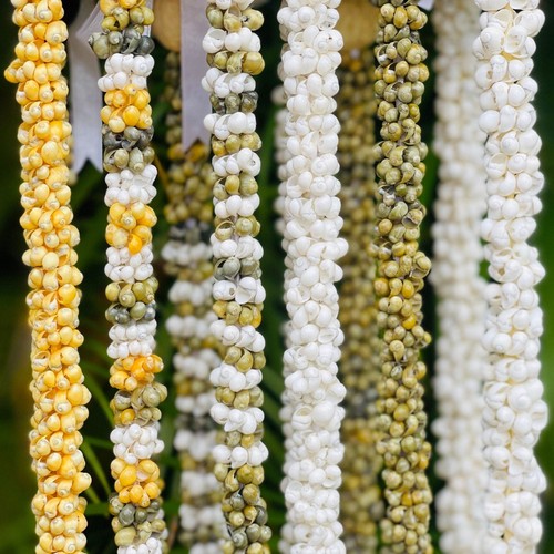 Collana lei hawaiian store - collana,