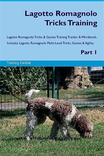 Lagotto romagnolo tricks - lagotto,