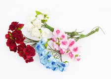 PRATOLINA PZ 144 FIORELLINI 8