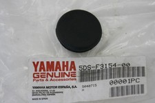 Fork stem cap fork leg plug