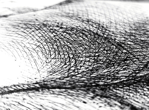 Disegno nudo maschile figura