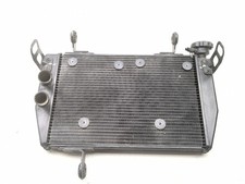 Radiatore Motore 2711301