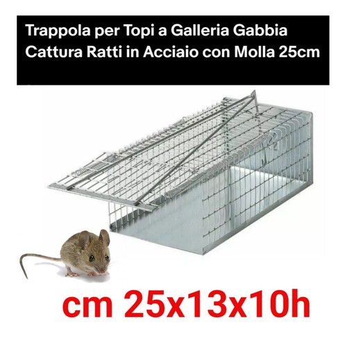 Trappola per topi - a, galleria