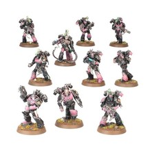 Warhammer 40k Tormentatore/Infrattori Bambini dell'Imperatore x5 