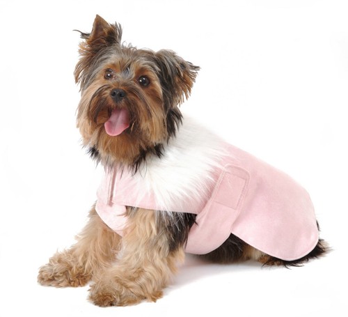 Cappotto cane chelsea baby - cappotto,