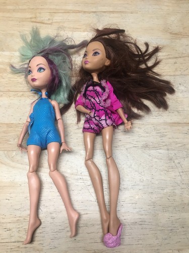 Ever after high doll - lot, of