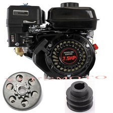 Frizione Centrifuga Motore