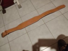 Dischi e Cintura Palestra