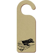 'Black Labrador Retriever'