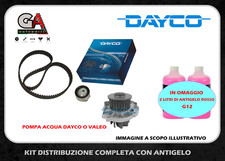 Kit distribuzione pompa acqua