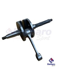 Albero Motore Polini Evolution Piaggio Gilera Zip NRG  Runner SP 12 mm 210.0002