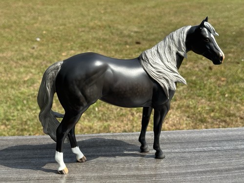 Peter stone quarter horse - quarter,
