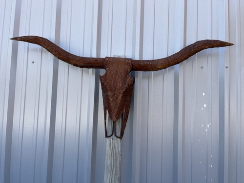 Longhorn steer teschio metallo - steer,