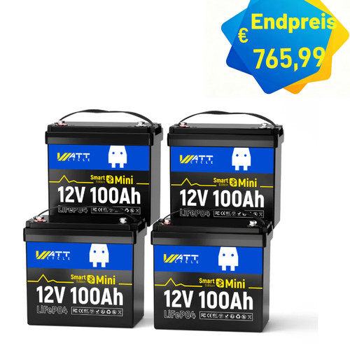 Batteria 12v 100ah lifepo4 - batteria,