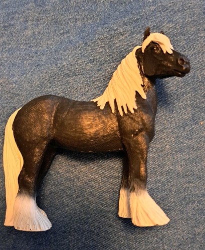 Safari gypsy vanner 2012 - gypsy,