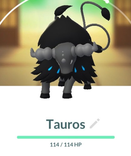 Pokemon tauros - 🍀pokemon, (aqua)