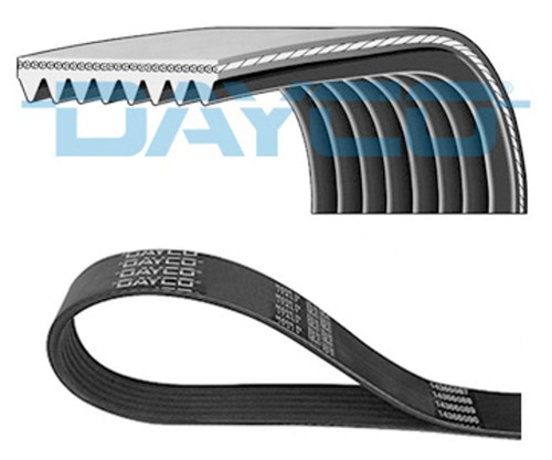 Cinghia trapezoidale 8pk2085hd - cinghia,