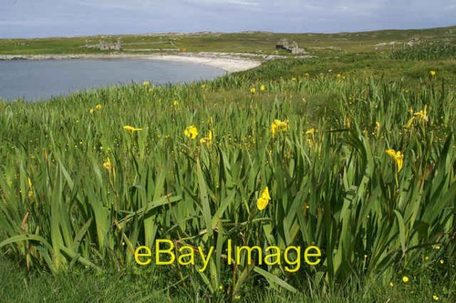 Photo 6x4 ham muness with - photo,