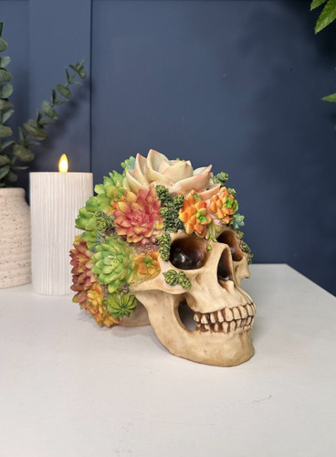 Skull with succulent flowers - skull,