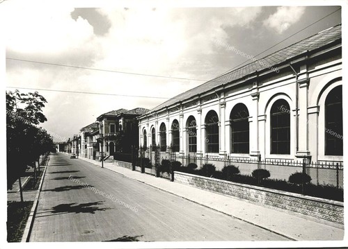 El589 cartolina - el589,