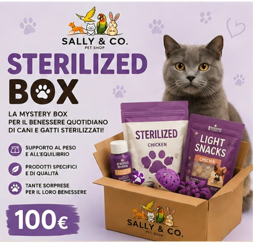 Lotto box mistery cane gatto - lotto, cane/gatto