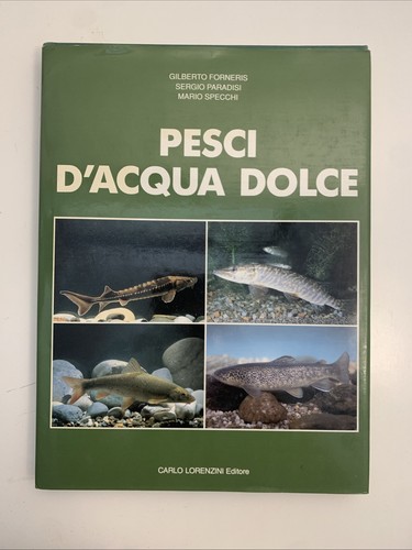 Pesci acqua dolce - pesci,