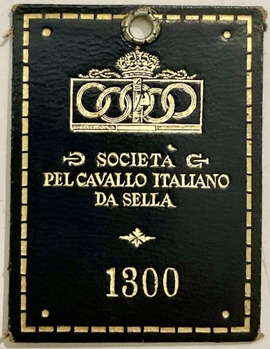 Società pel cavallo italiano - societÀ,