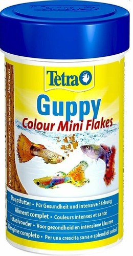 Tetra guppy colour - mangime, per