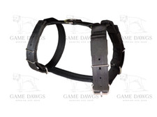 CINTURA DI SICUREZZA 1,5" 4