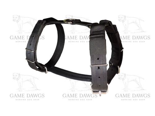 Cintura sicurezza 4 - 1,5",